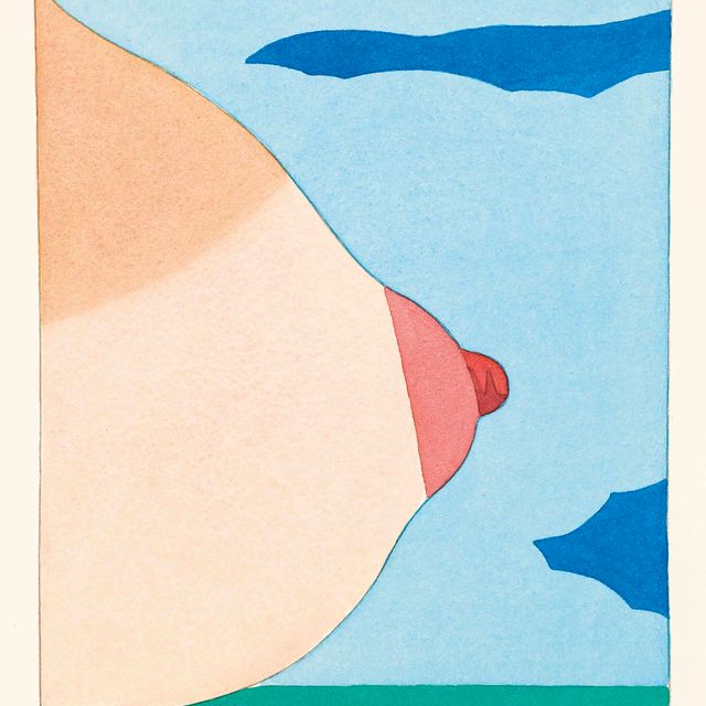 Tom Wesselmann — Синица, из: Морской пейзаж