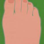 Tom Wesselmann — Нога