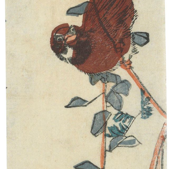 Utagawa Hiroshige — ВОРОБЕЙ И ГЛИЦИНИЯ