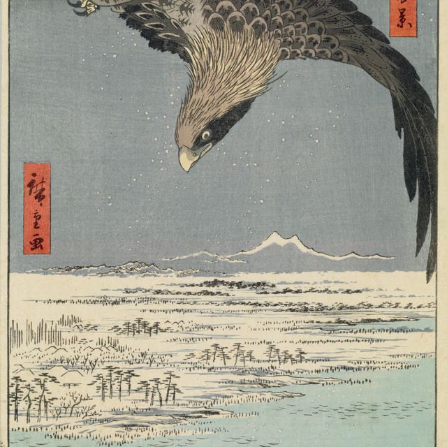 Utagawa Hiroshige — Фукагава Сусаки Дзюмантсубо (Сусаки и равнина Дзюмантсубо близ Фукагавы), из серии Meisho Edo hyakkei (Сто видов знаменитых мест Эдо)