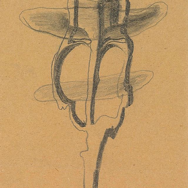 Victor Brauner — Без названия
