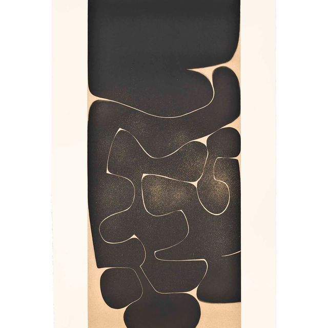 Victor Pasmore — Черная разработка