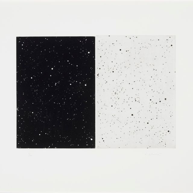 Vija Celmins — Черно-белый диптих