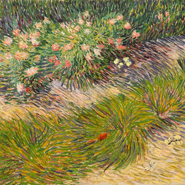 Vincent van Gogh — Монета из сада с папильонами