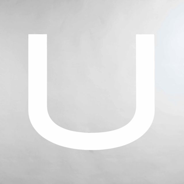 Wade Guyton — U-образный трафарет