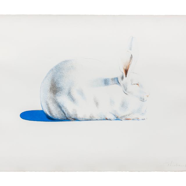 Wayne Thiebaud — Кролик, из семи натюрмортов и кролика