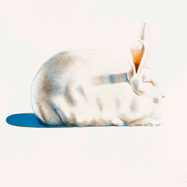 Wayne Thiebaud — Кролик, из семи натюрмортов и кролика