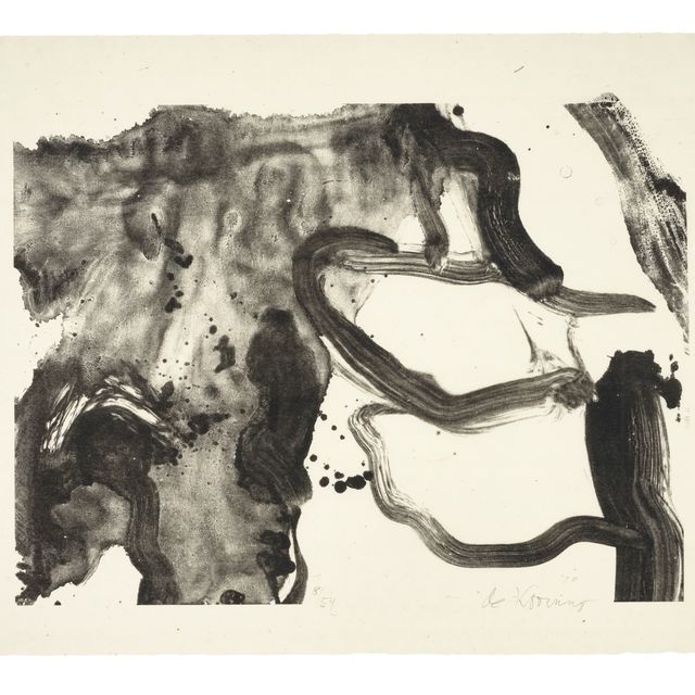 Willem de Kooning — Место приземления