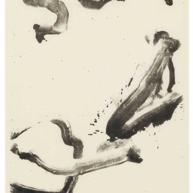 Willem de Kooning — С любовью к Вакако