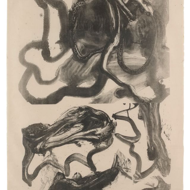 Willem de Kooning — Жалящий скат