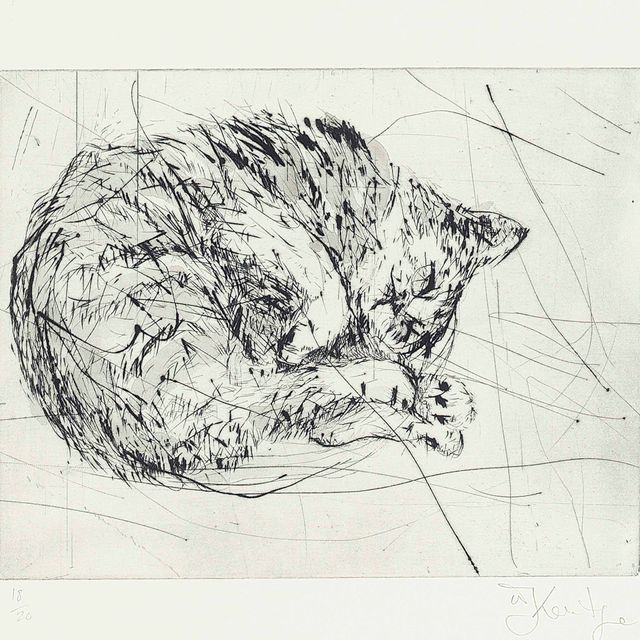 William Kentridge — Кошка