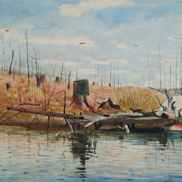 Winslow Homer — Поваленное дерево с норками
