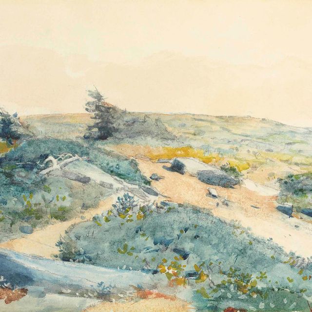 Winslow Homer — Шея Праута