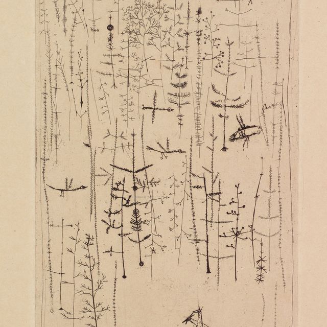 Wou-Ki Zao — Ле Лу ("Волки")