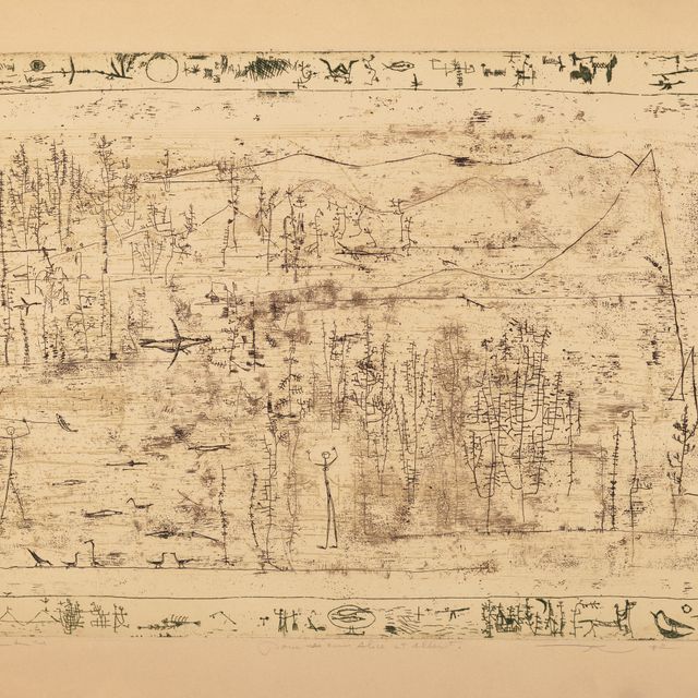 Wou-Ki Zao — Флора и фавн