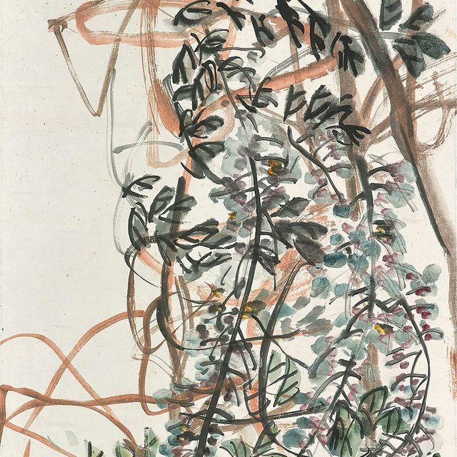 Wu Changshuo — Глициния