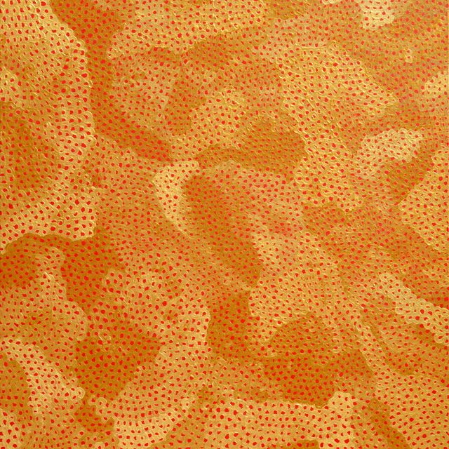 Yayoi Kusama — Сети