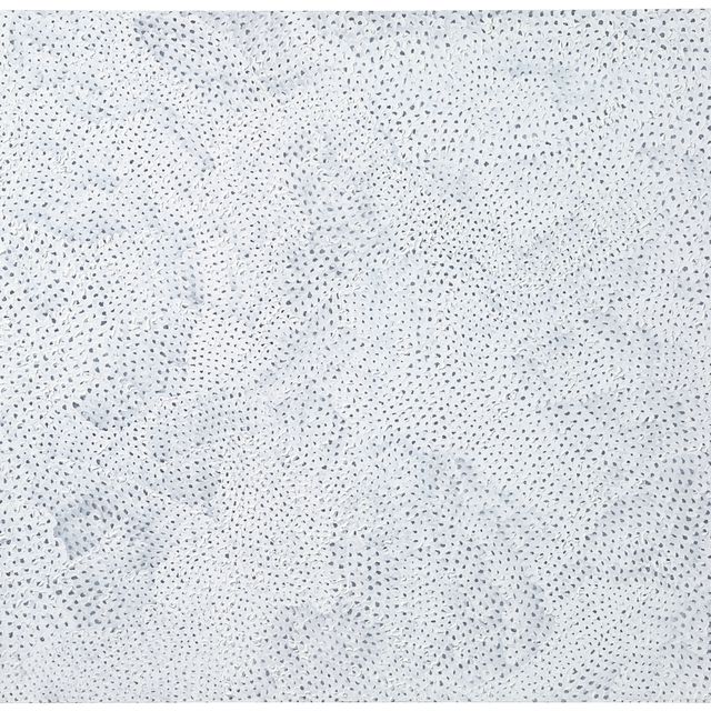 Yayoi Kusama — Сети бесконечности