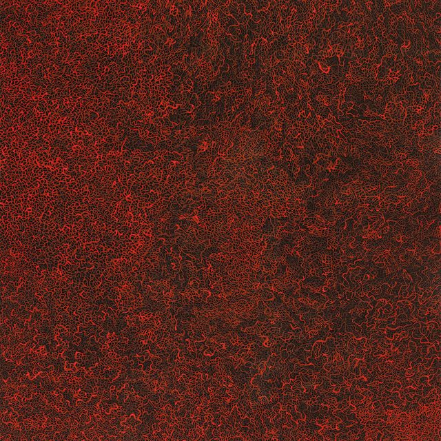 Yayoi Kusama — Море в вечернем сиянии (Перед лицом неминуемой смерти)