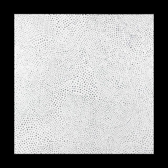 Yayoi Kusama — Бесконечные сети TWGZ