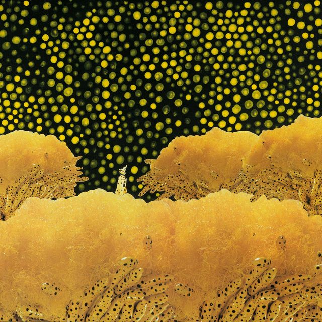 Yayoi Kusama — Кусама в цветочном саду