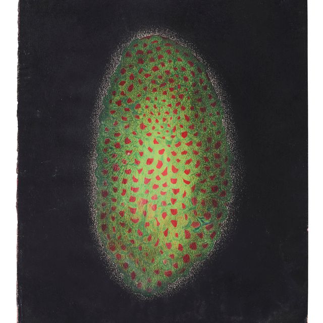 Yayoi Kusama — Цветок