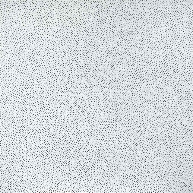 Yayoi Kusama — CPW бесконечных сетей