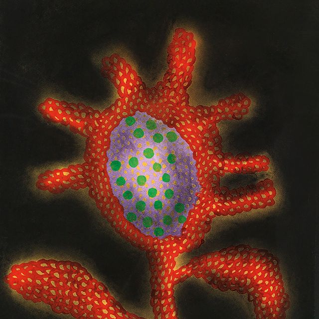 Yayoi Kusama — ЯЕЙ КУСАМА