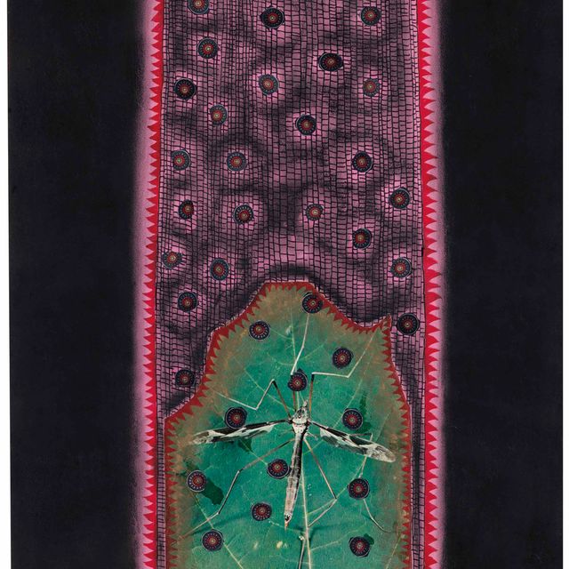 Yayoi Kusama — Дух насекомого