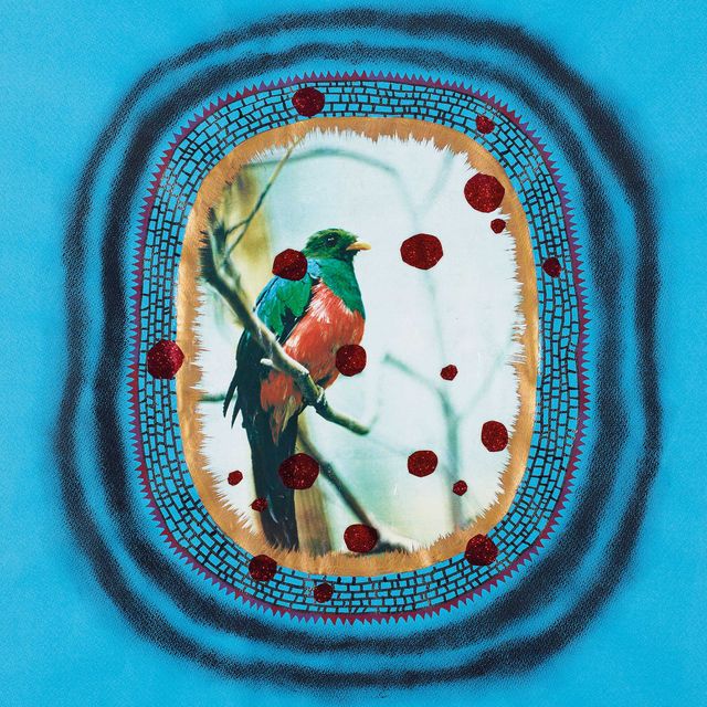 Yayoi Kusama — Птица