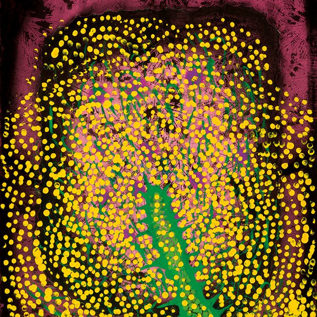 Yayoi Kusama — Воспоминание о Гортензии