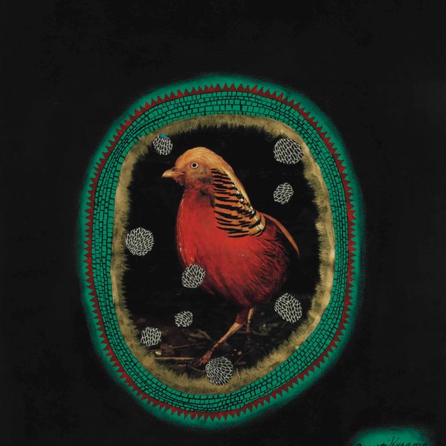 Yayoi Kusama — Без названия (Красная птица)