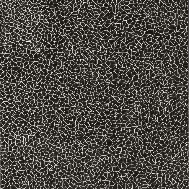 Yayoi Kusama — Сети бесконечности