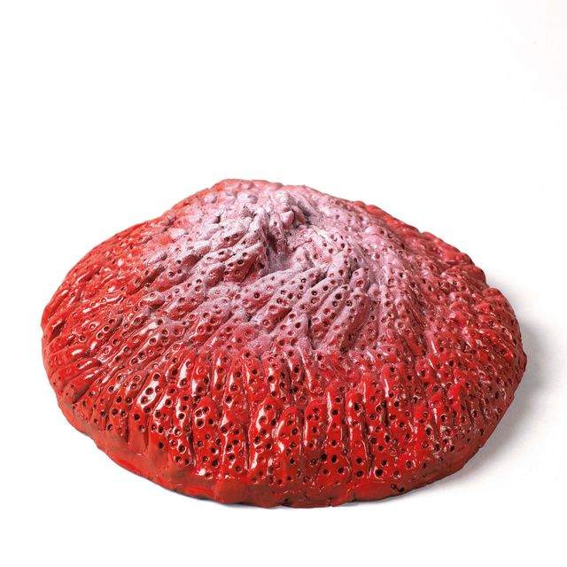 Yayoi Kusama — Клубника