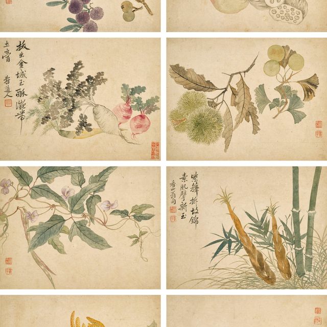 Yun Shouping — Альбом цветов и фруктов