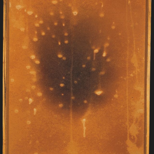 Yves Klein — Ф.121