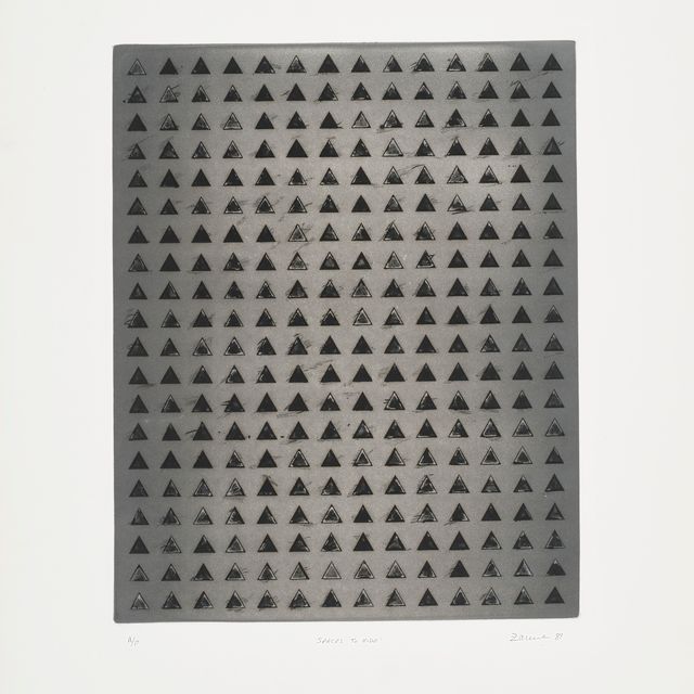Zarina Hashmi — Места, которые нужно скрыть