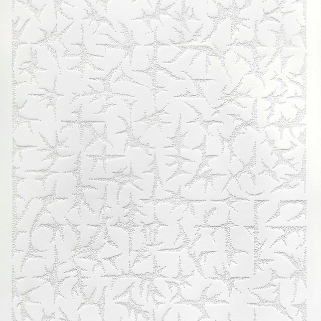 Zarina Hashmi — Без названия