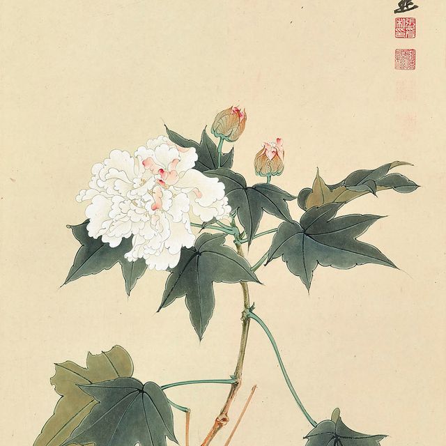 Zhang Daqian — Гибискус
