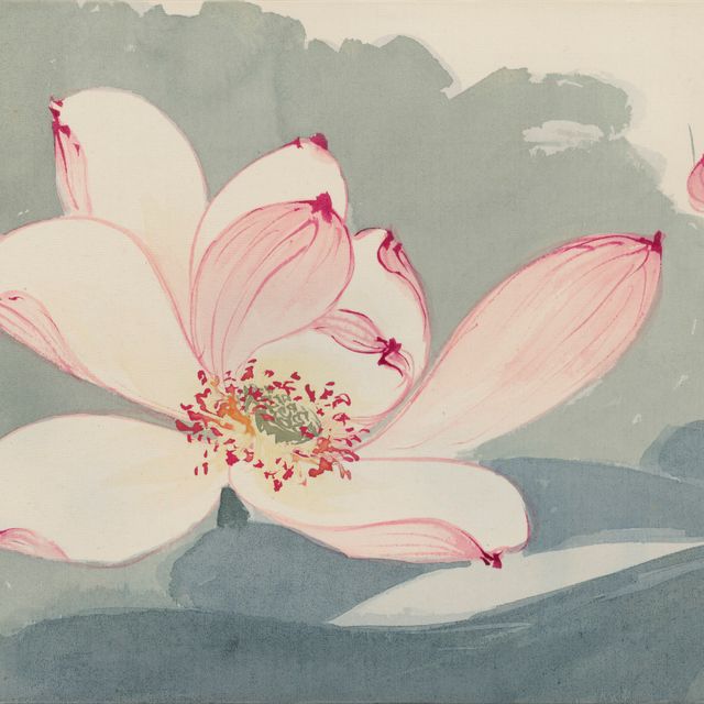 Zhang Daqian — Розовые цветы лотоса