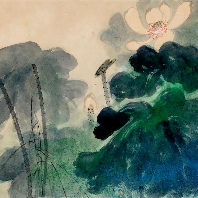 Zhang Daqian — Лотос в разноцветных брызгах