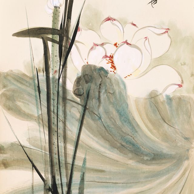Zhang Daqian — Лотос