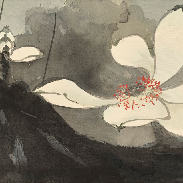 Zhang Daqian — Цветы белого лотоса