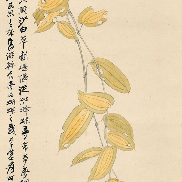 Zhang Daqian — Бабочка и листья