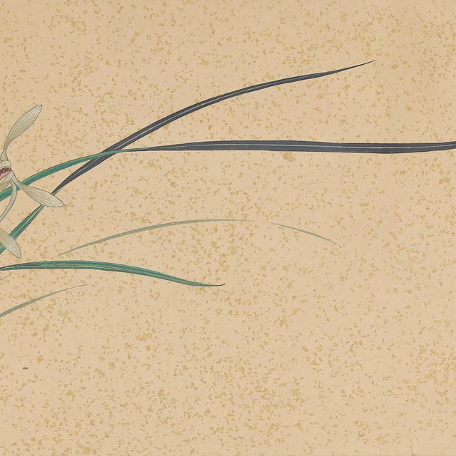 Zhang Daqian — Орхидея