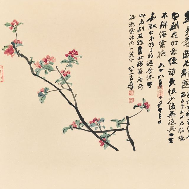Zhang Daqian — Бегония
