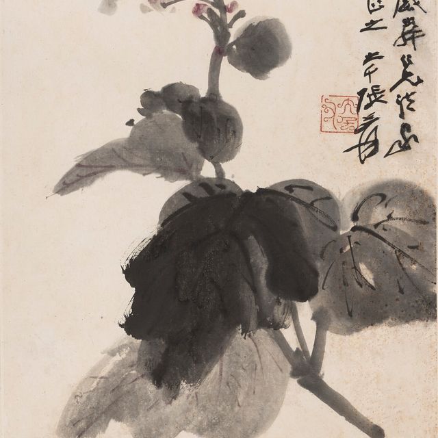 Zhang Daqian — Бегонии