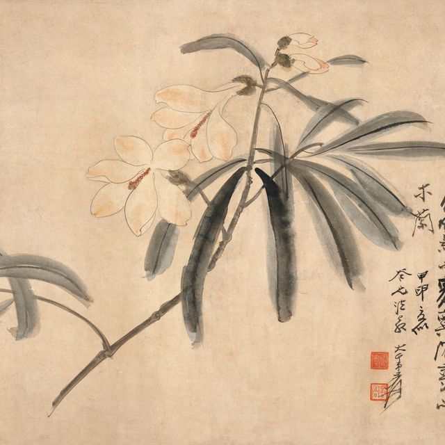 Zhang Daqian — Магнолии