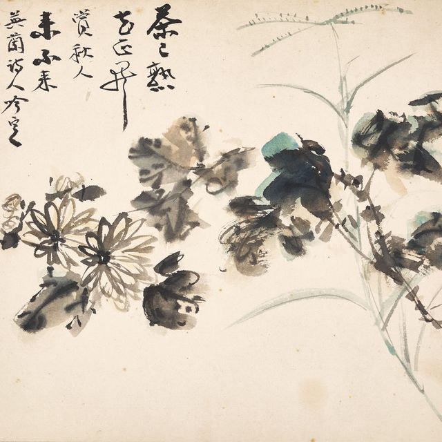 Zhang Daqian — Хризантема