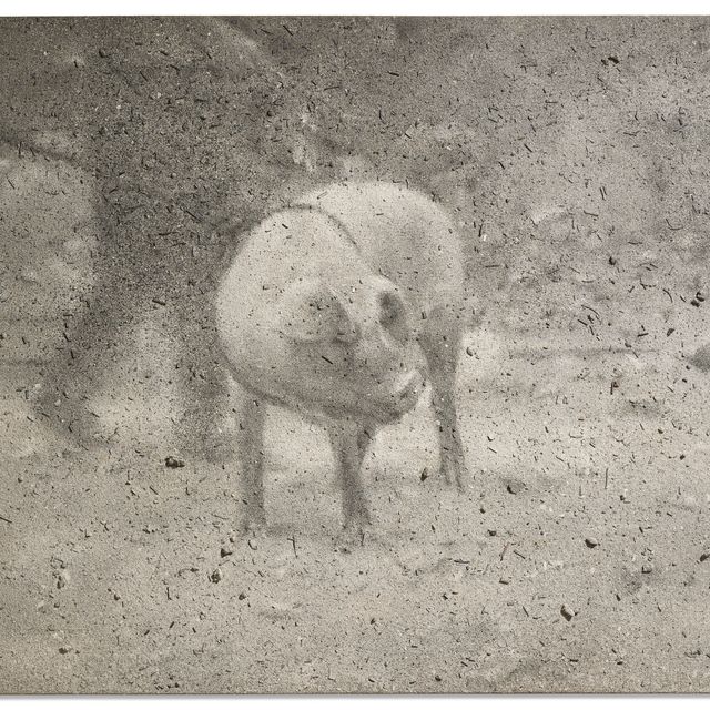 Zhang Huan — Счастье №4